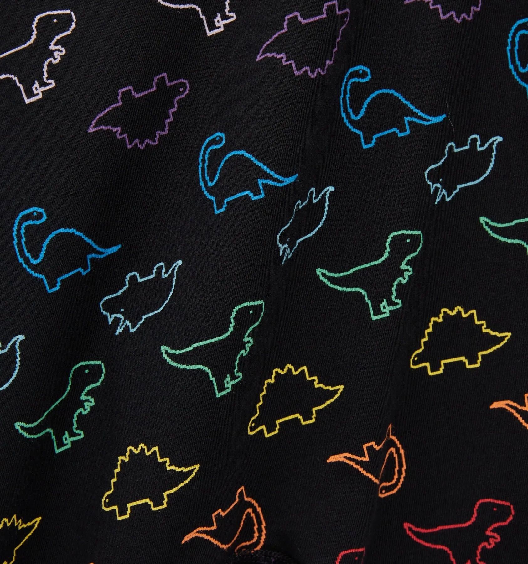 9" Boxer Briefs - Rainbow DinoByte