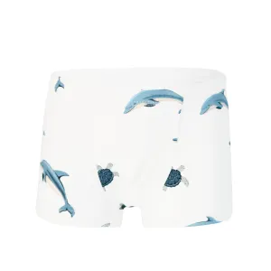 Briefs in Dolphin
