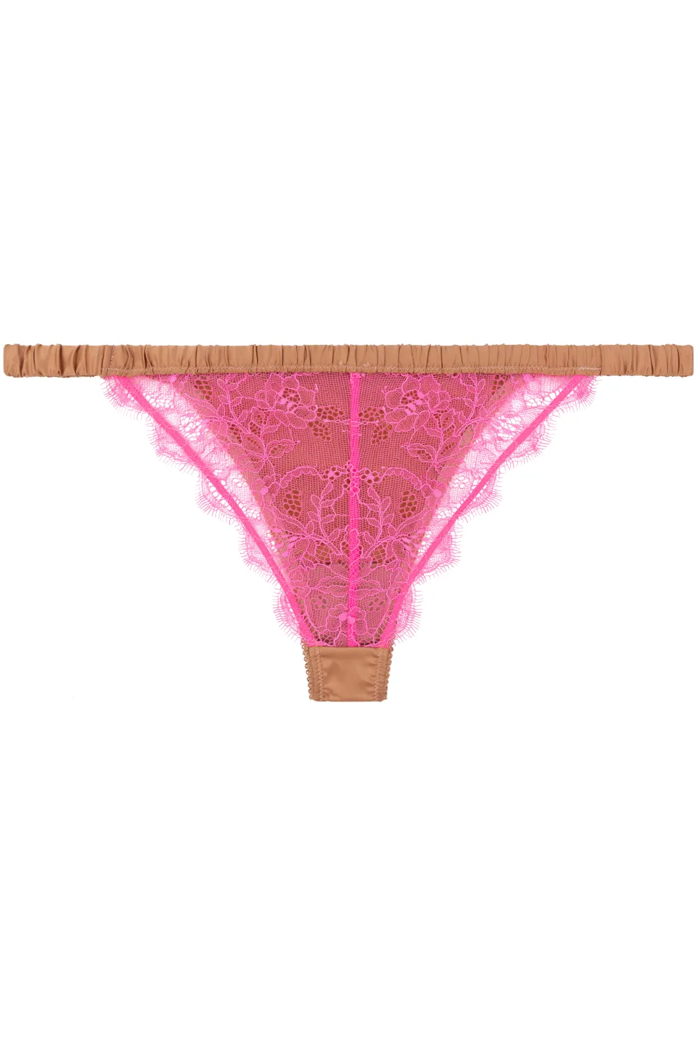 Charlotte Brief Brown