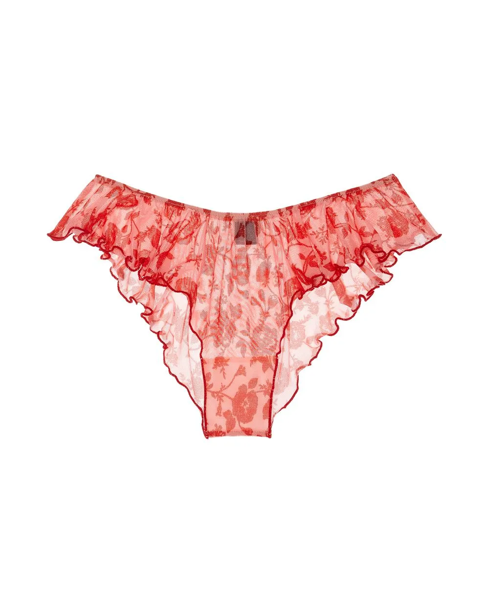 Charlotte Butterfly Brief