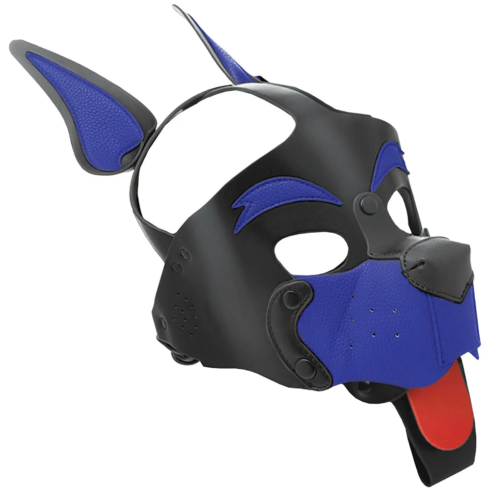Kanine Kolection Alpha Dog Pup Hood in Blue