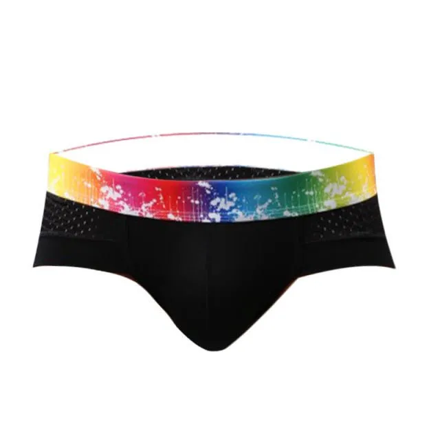 Rainbow Band Mesh Briefs