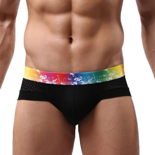 Rainbow Band Mesh Briefs