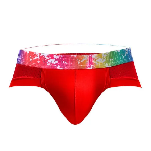 Rainbow Band Mesh Briefs