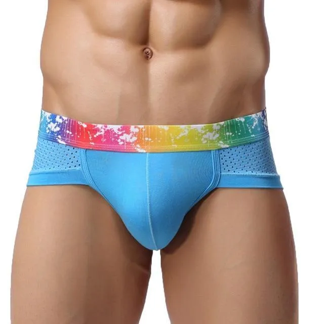 Rainbow Band Mesh Briefs