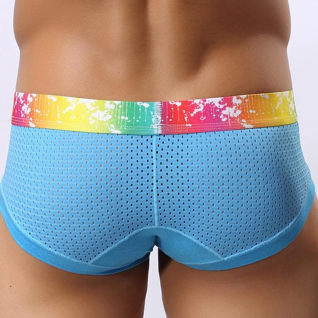 Rainbow Band Mesh Briefs