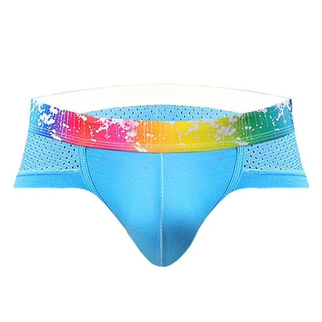 Rainbow Band Mesh Briefs