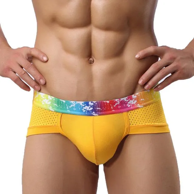 Rainbow Band Mesh Briefs