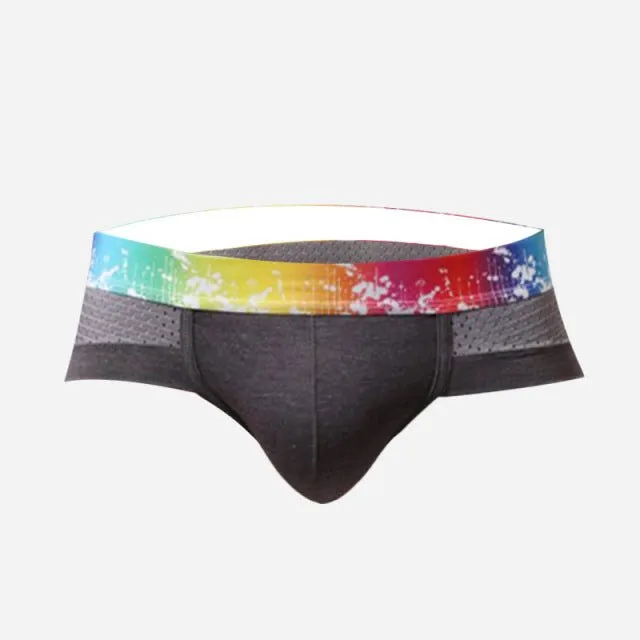 Rainbow Band Mesh Briefs