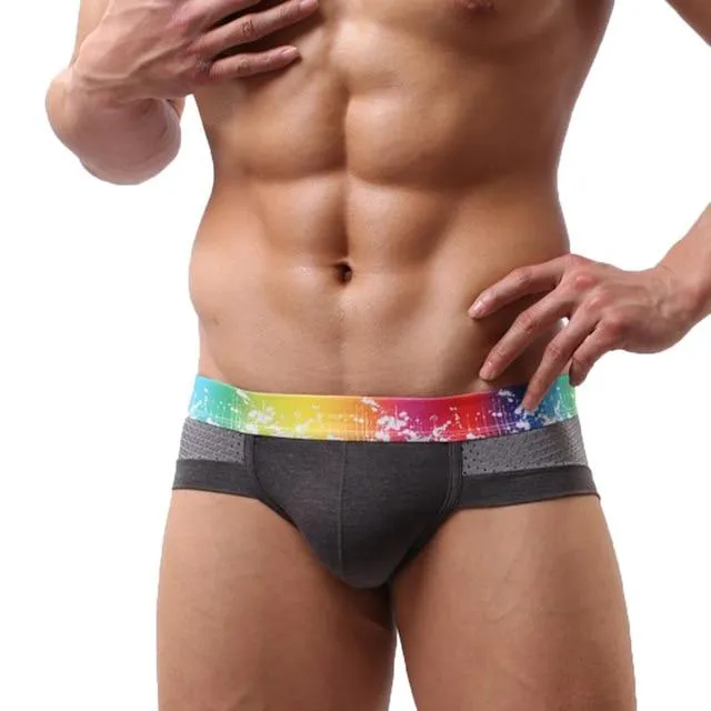 Rainbow Band Mesh Briefs