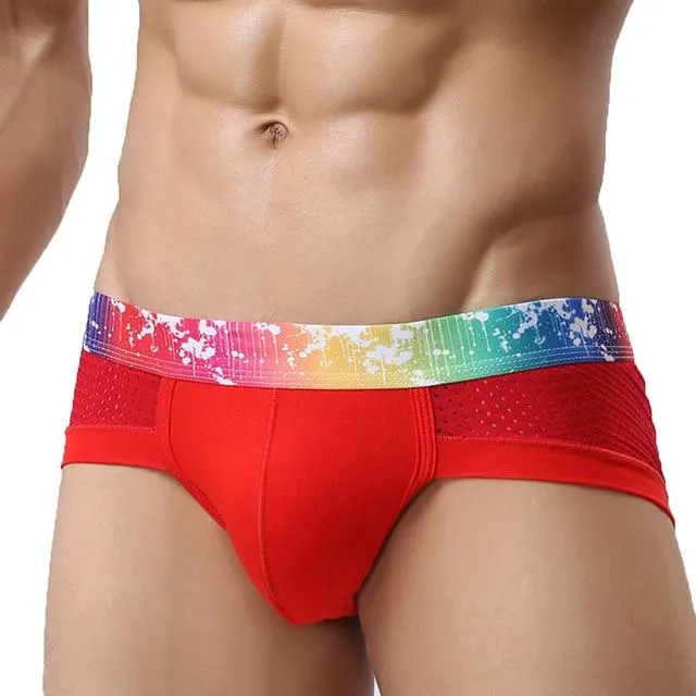 Rainbow Band Mesh Briefs