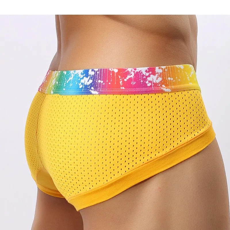 Rainbow Band Mesh Briefs