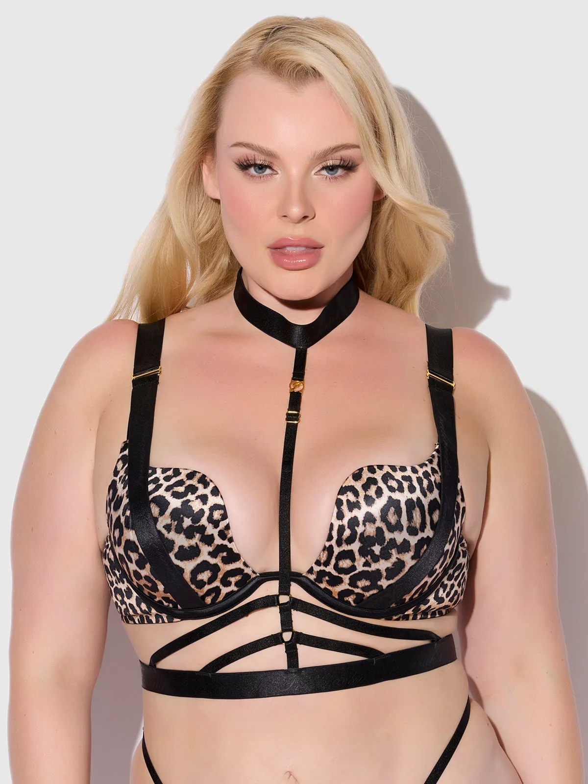 Rising Star Plunge Push Up Bustier in Petra Satin