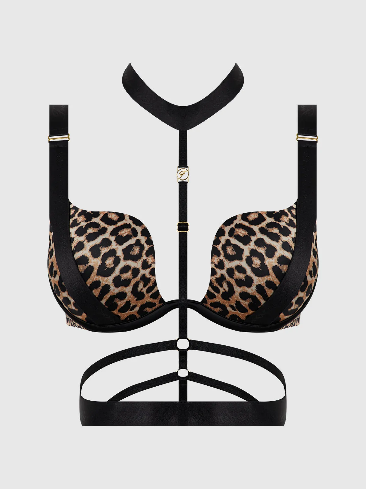Rising Star Plunge Push Up Bustier in Petra Satin