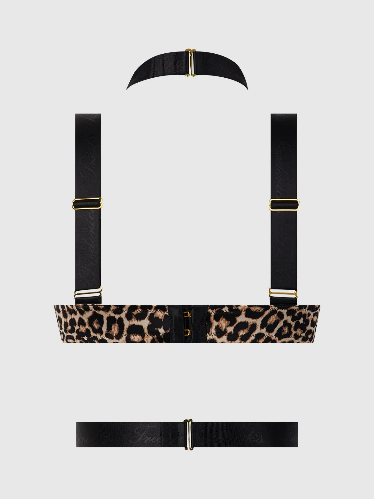 Rising Star Plunge Push Up Bustier in Petra Satin