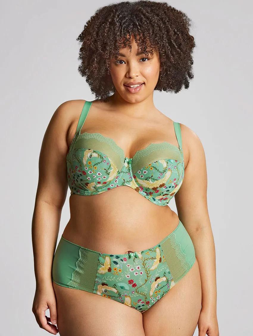 Sculptresse Esme Balcony Bra