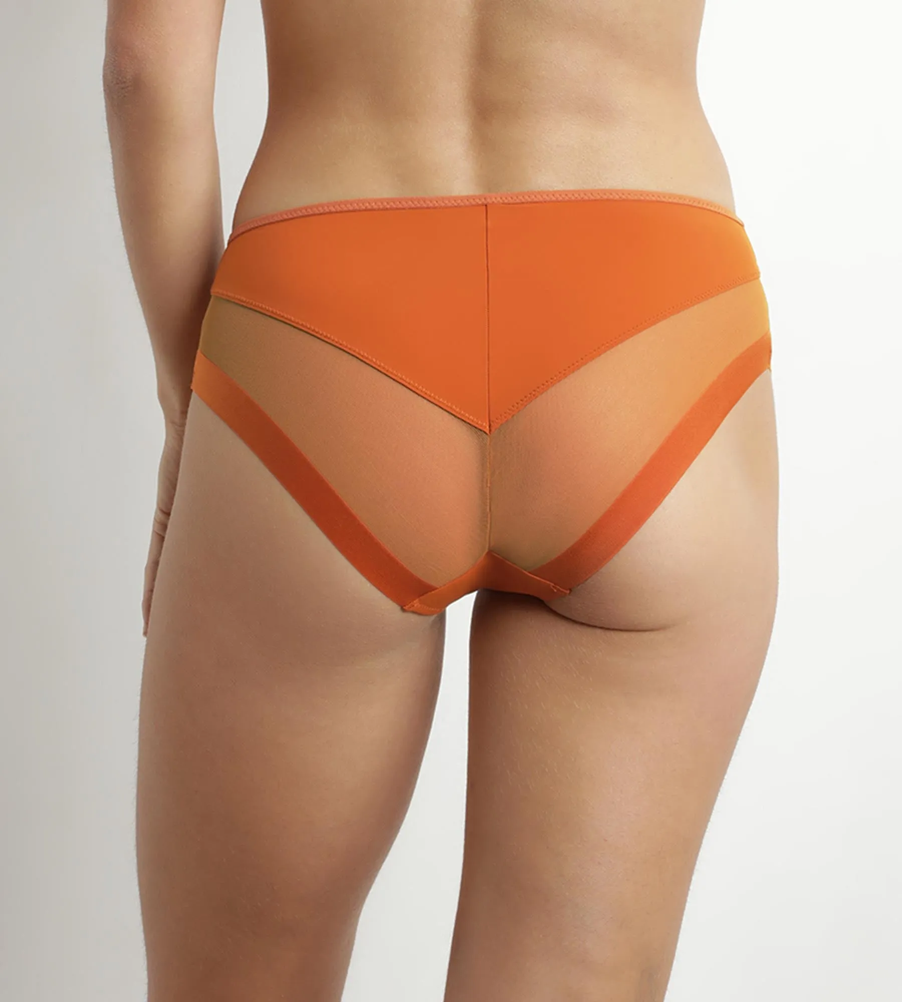 Slip femme en microfibre et tulle Mandarine Dim Generous
